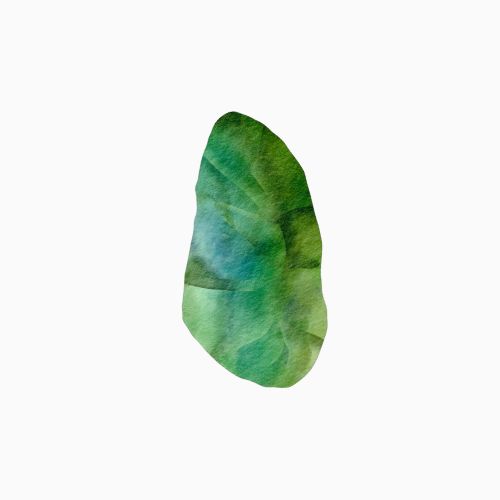 Jade