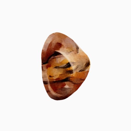 Tigerauge