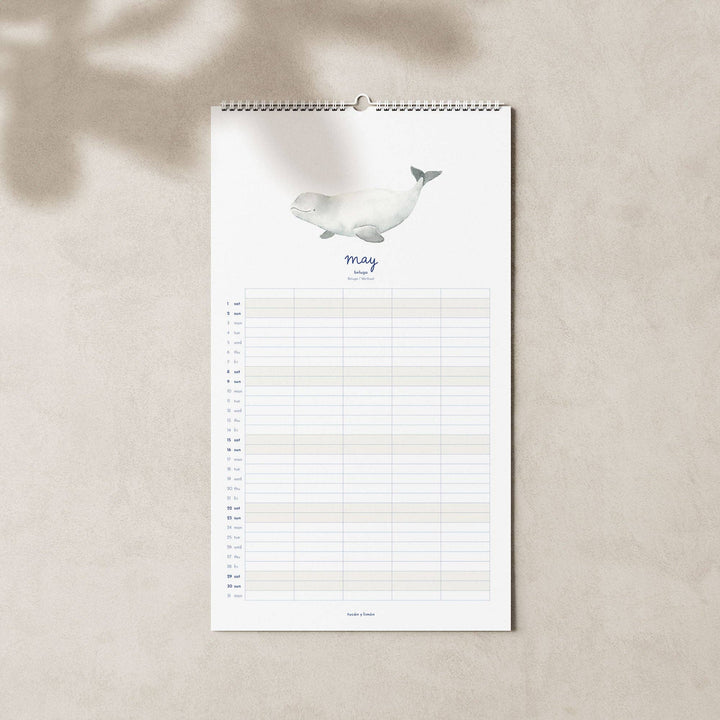 2027 Familienkalender Wale und Delfine