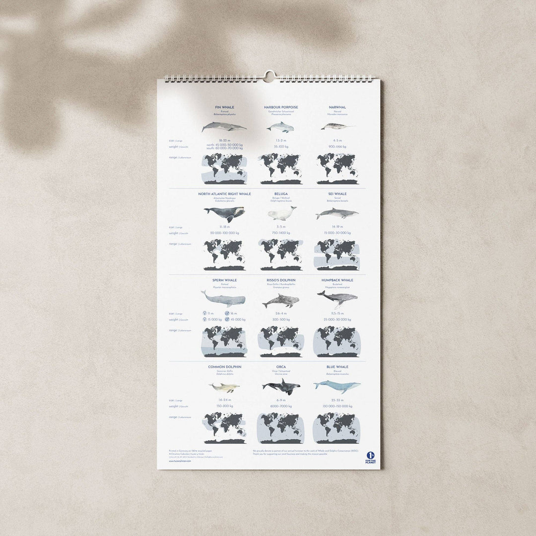 2027 Familienkalender Wale und Delfine