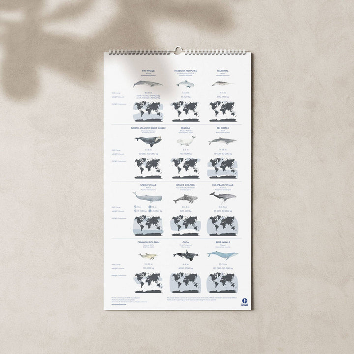 2027 Familienkalender Wale und Delfine