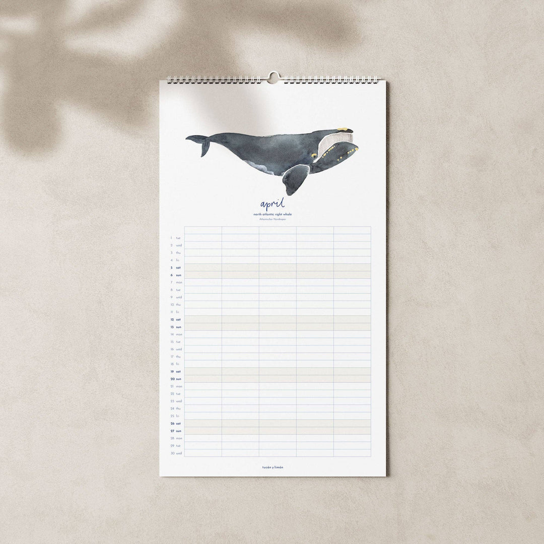 2027 Familienkalender Wale und Delfine