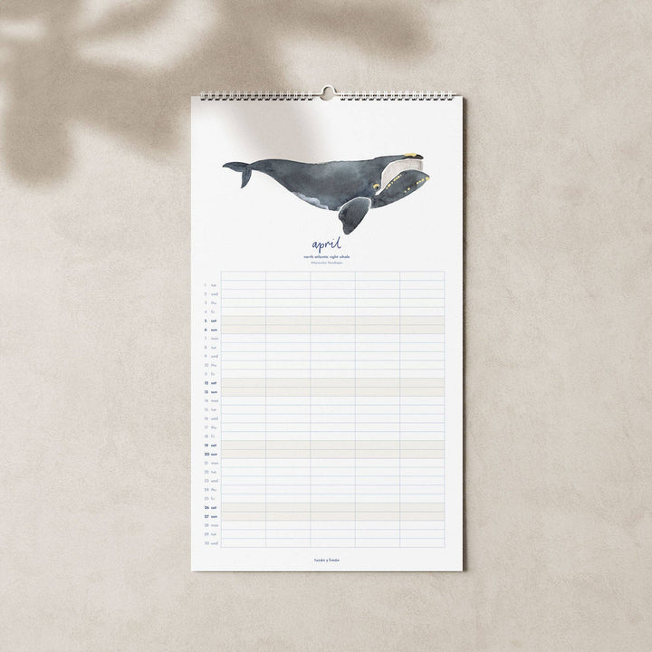 2027 Familienkalender Wale und Delfine