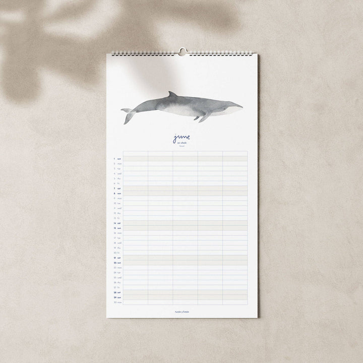 2027 Familienkalender Wale und Delfine