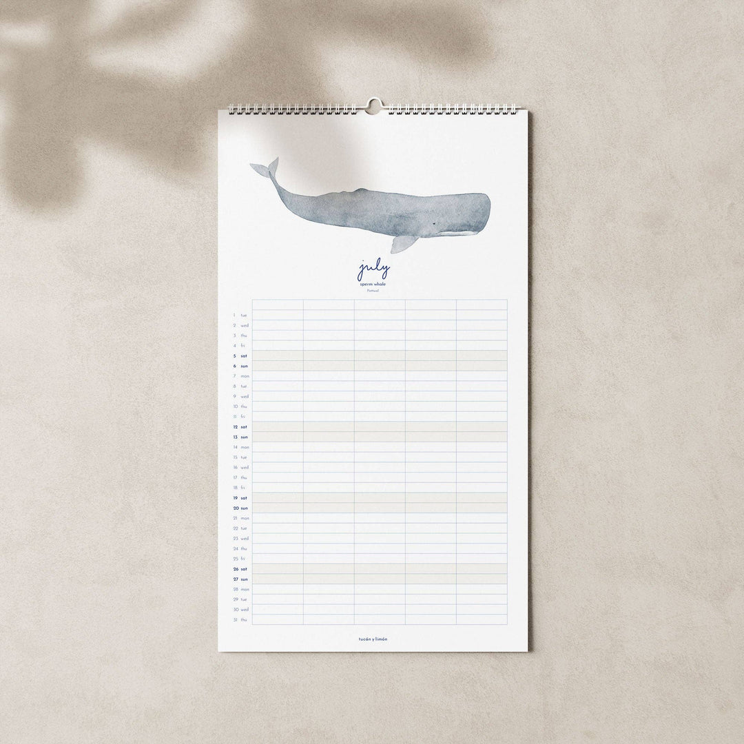 2027 Familienkalender Wale und Delfine