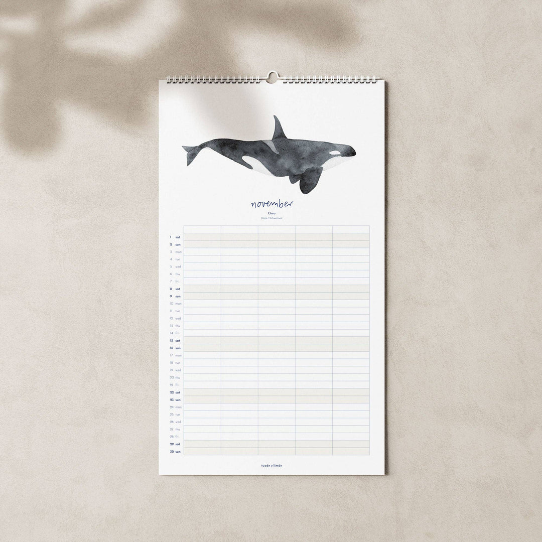 2027 Familienkalender Wale und Delfine