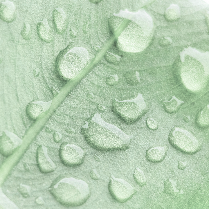 Fusskette Light After Rain