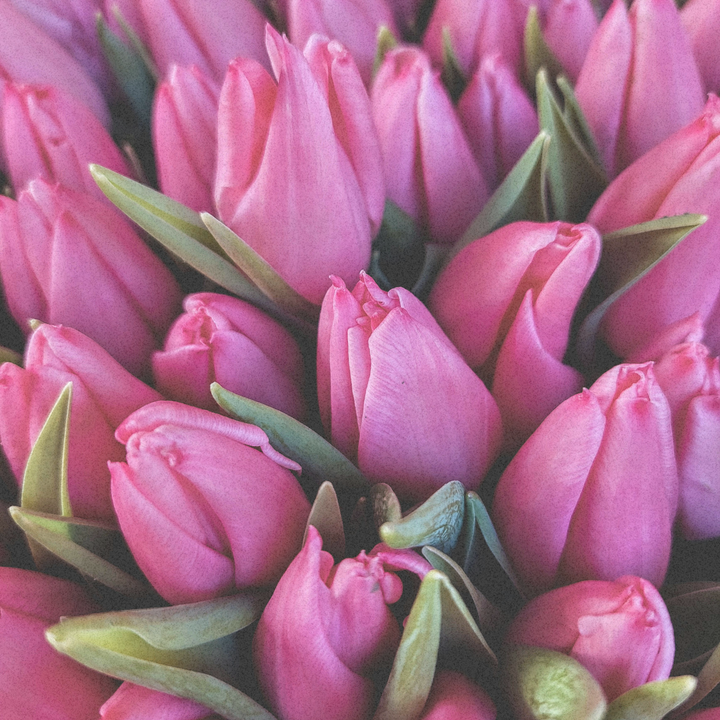 Fusskette Love Grows