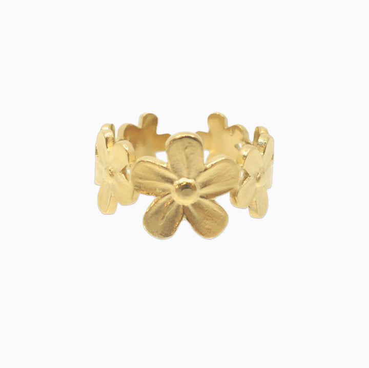 Ring Oasis ☼