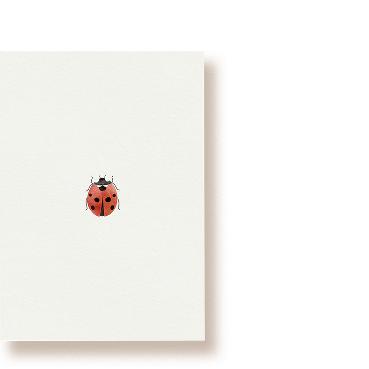Marienkäfer | Postkarte