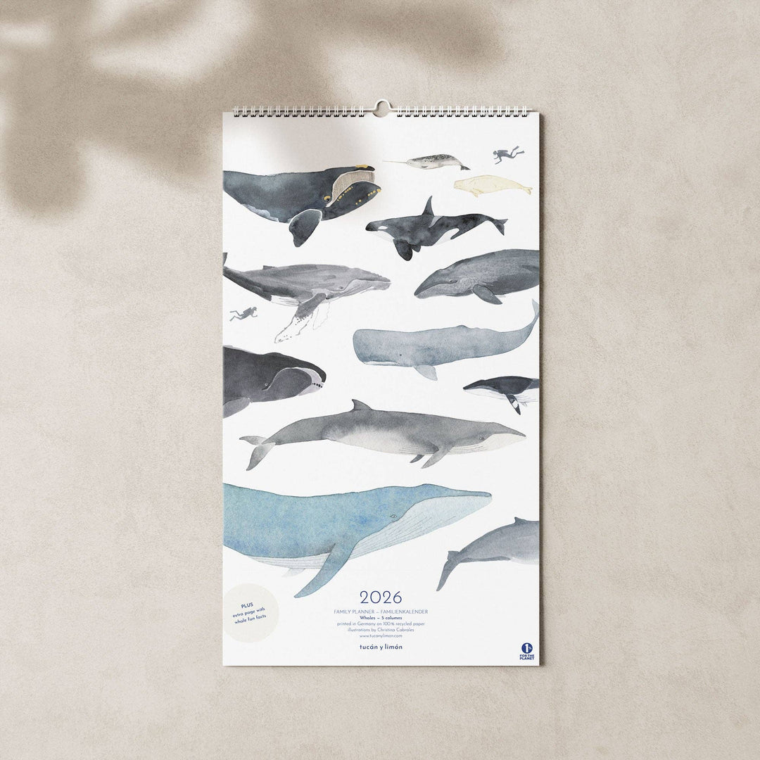 2027 Familienkalender Wale und Delfine