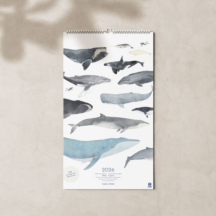 2027 Familienkalender Wale und Delfine