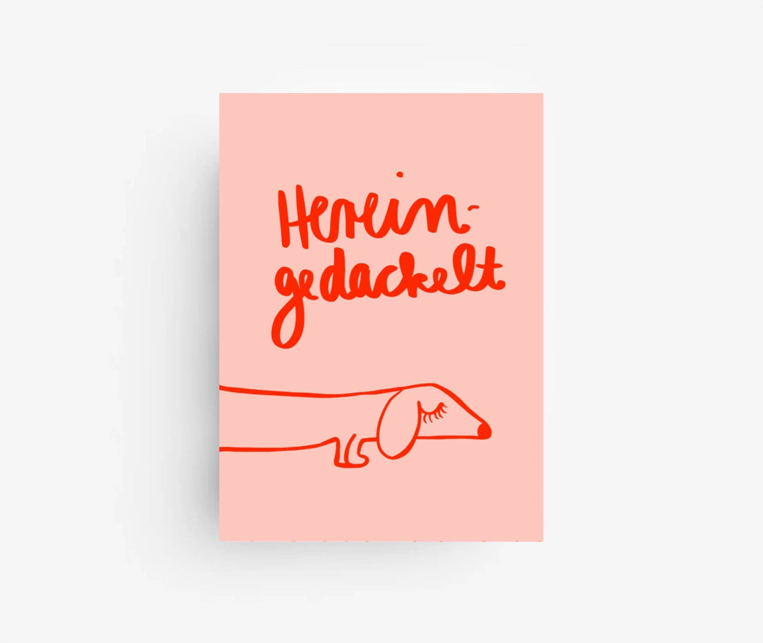 * Hereingedackelt * Postkarte  