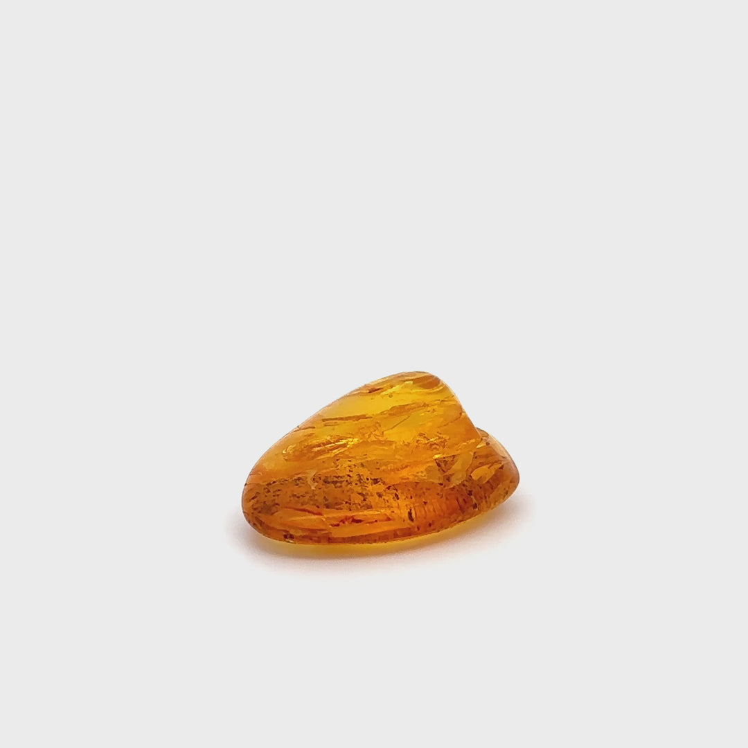 Trommelstein Bernstein