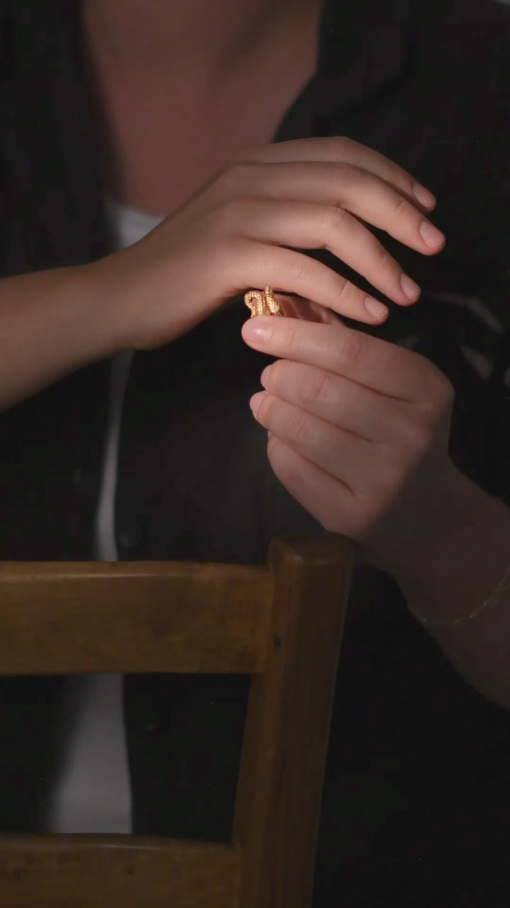 Ring Snake ☼